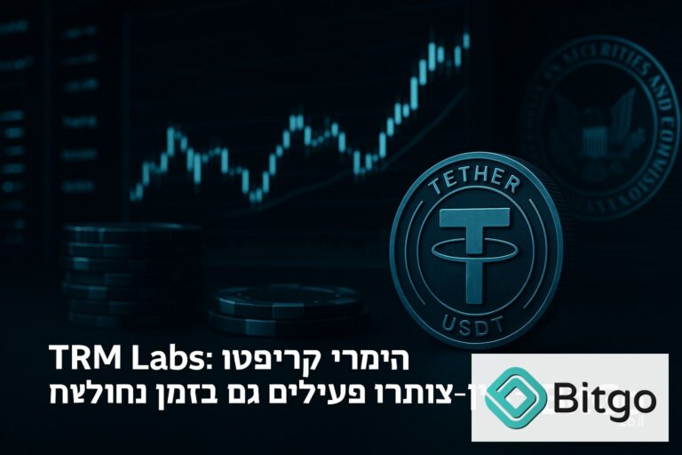 דו"ח TRM Labs: הימורי קריפטו און־צ'יין נותרו פעילים גם בזמן חולשה בשוק